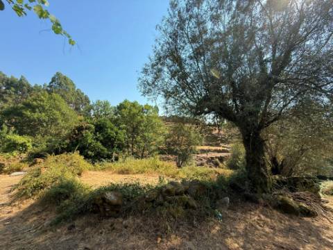 Ruína para Restauro com Terreno e Anexos - Paredes do Vale, Arcos de Valdevez