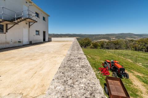 Quinta T10 & queijaria, terreno 65.000m2, Douro Vinhateiro