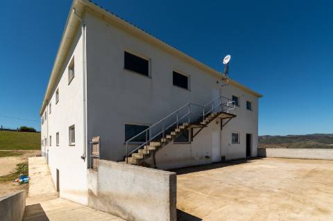 Quinta T10 & queijaria, terreno 65.000m2, Douro Vinhateiro