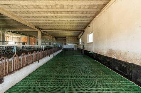 Quinta T10 & queijaria, terreno 65.000m2, Douro Vinhateiro