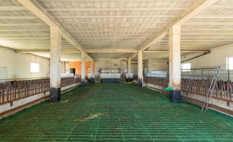 Quinta T10 & queijaria, terreno 65.000m2, Douro Vinhateiro