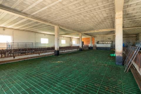 Quinta T10 & queijaria, terreno 65.000m2, Douro Vinhateiro