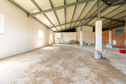 Quinta T10 & queijaria, terreno 65.000m2, Douro Vinhateiro