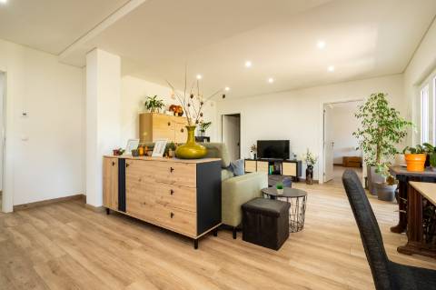 Quinta T10 & queijaria, terreno 65.000m2, Douro Vinhateiro