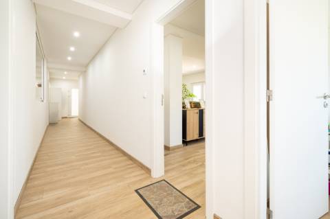 Quinta T10 & queijaria, terreno 65.000m2, Douro Vinhateiro