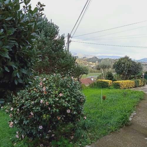 Moradia T2+1 no Caminho de Santiago