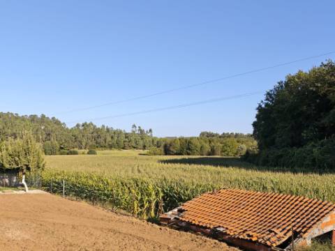 Terreno agrícola com várias possibilidades