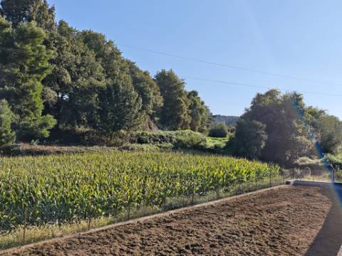 Terreno agrícola com várias possibilidades