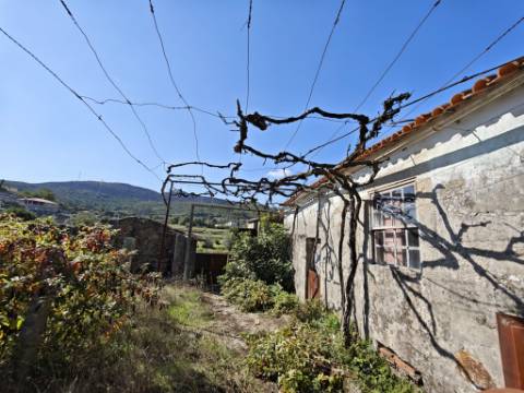 Moradia T4 com projecto aprovado