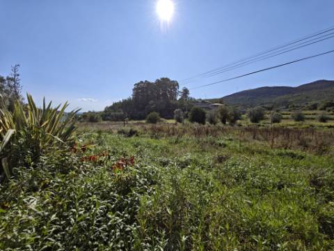 Moradia T4 com projecto aprovado