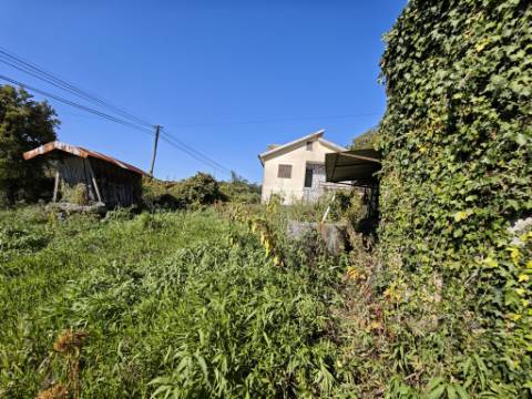 Moradia T4 com projecto aprovado