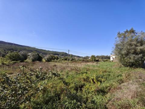 Moradia T4 com projecto aprovado