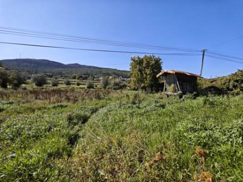 Moradia T4 com projecto aprovado