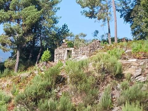 Propriedade com 3 ruinas