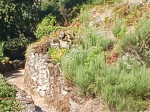 Propriedade com 3 ruinas