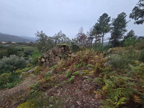 Propriedade com 3 ruinas