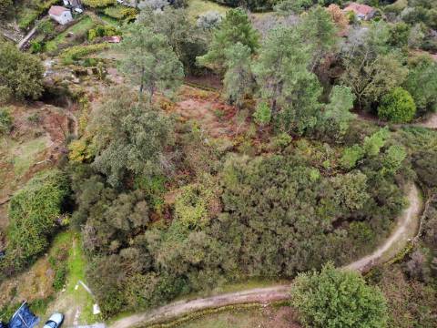 Propriedade com 3 ruinas