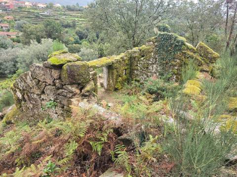 Propriedade com 3 ruinas