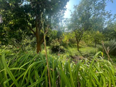 Moradia T4+1 no centro de Lanheses