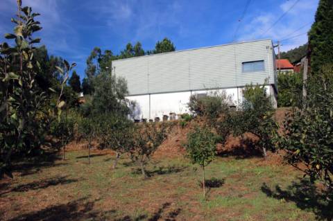 Quinta com Licença Agroindustrial à venda em Oliveira de Azeméis