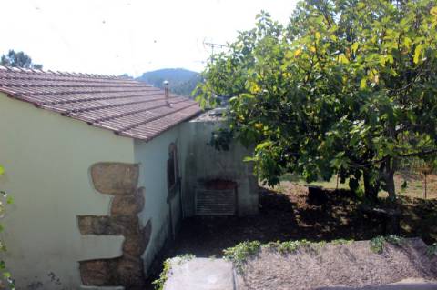 Quinta com Licença Agroindustrial à venda em Oliveira de Azeméis