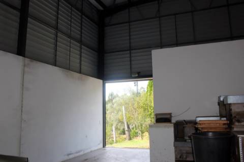 Quinta com Licença Agroindustrial à venda em Oliveira de Azeméis