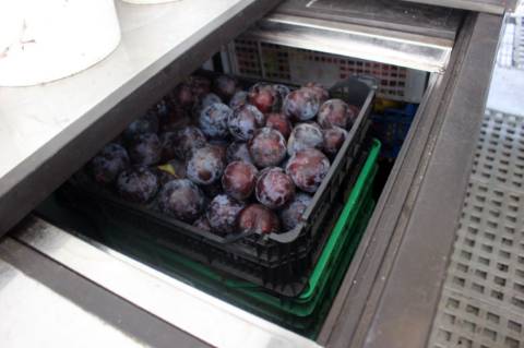 Quinta com Licença Agroindustrial à venda em Oliveira de Azeméis