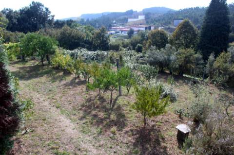 Quinta com Licença Agroindustrial à venda em Oliveira de Azeméis