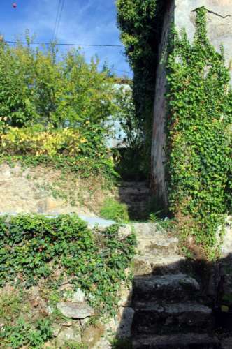 Quinta com Licença Agroindustrial à venda em Oliveira de Azeméis