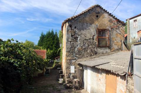 Quinta com Licença Agroindustrial à venda em Oliveira de Azeméis