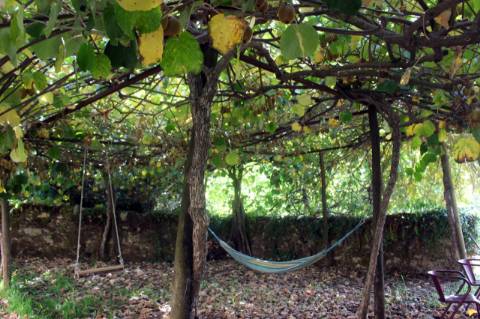 Quinta com Licença Agroindustrial à venda em Oliveira de Azeméis
