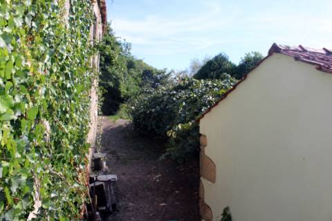 Quinta com Licença Agroindustrial à venda em Oliveira de Azeméis