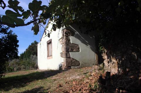 Quinta com Licença Agroindustrial à venda em Oliveira de Azeméis