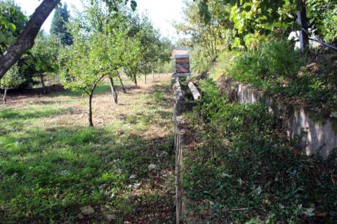 Quinta com Licença Agroindustrial à venda em Oliveira de Azeméis