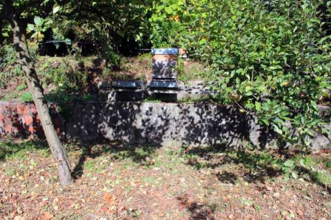 Quinta com Licença Agroindustrial à venda em Oliveira de Azeméis