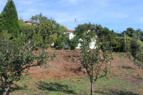 Quinta com Licença Agroindustrial à venda em Oliveira de Azeméis