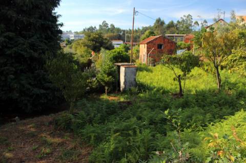 Quinta com Licença Agroindustrial à venda em Oliveira de Azeméis