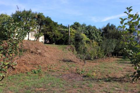 Quinta com Licença Agroindustrial à venda em Oliveira de Azeméis
