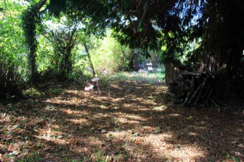Quinta com Licença Agroindustrial à venda em Oliveira de Azeméis