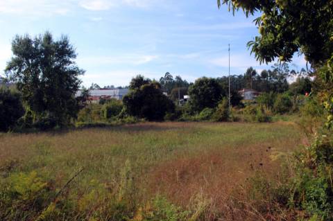 Quinta com Licença Agroindustrial à venda em Oliveira de Azeméis