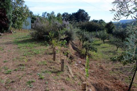 Quinta com Licença Agroindustrial à venda em Oliveira de Azeméis