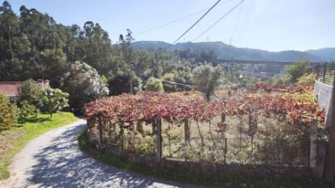 Terreno com projecto aprovado, moradia T3