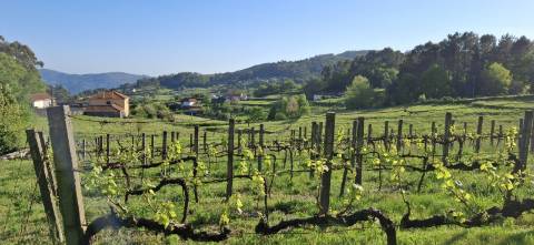 V4 na Montanha Mágica da Miranda em Arcos de Valdevez