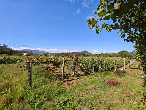 Quinta com rio no interior e exterior