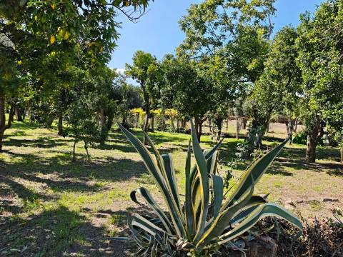 Quinta com rio no interior e exterior