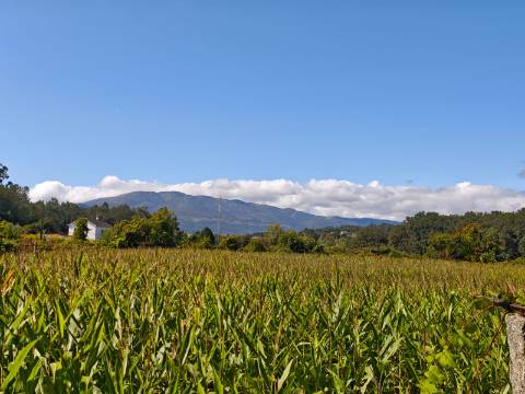 Quinta com rio no interior e exterior