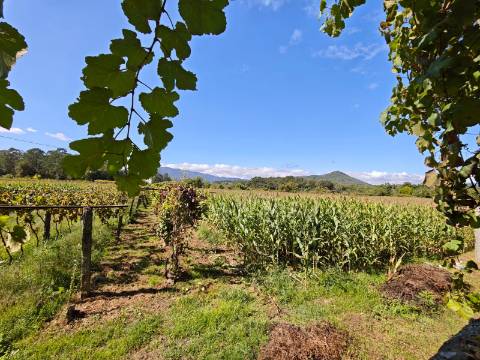 Quinta com rio no interior e exterior