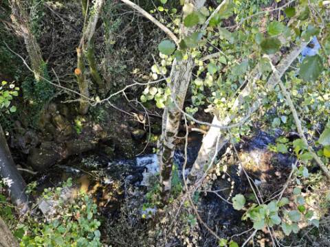 Quinta com rio no interior e exterior