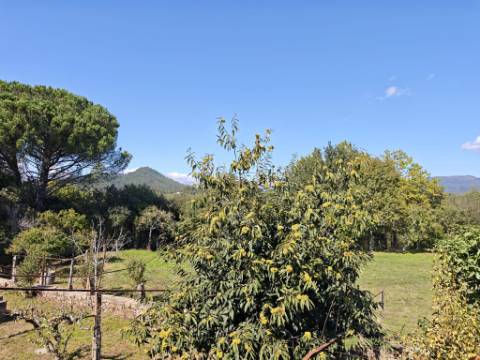 Quinta com rio no interior e exterior