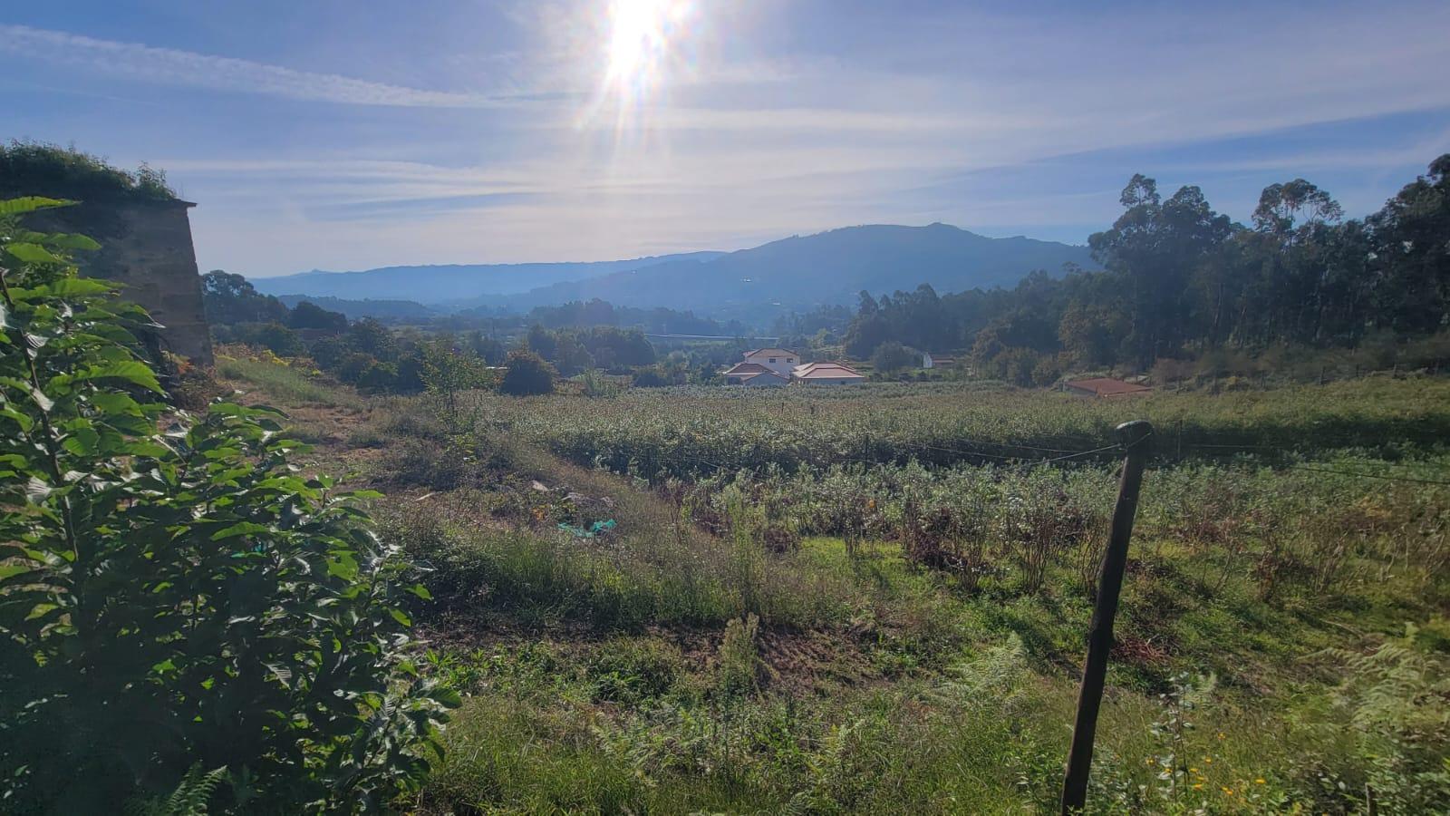 Terreno para construção em Refoios